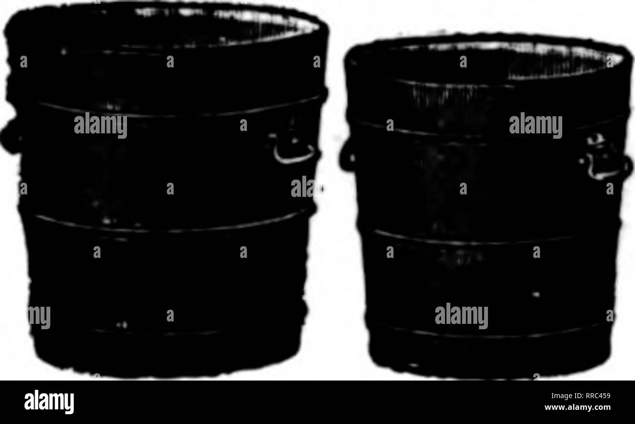 . Les fleuristes [microforme] examen. La floriculture. Mettre cette coupe sur votre papier à en-tête ou dans vos publicités double de l'illustration sera envoyé le ^1 FCT sur réception de ^1"0^ FLORISTS' PUBLISHING CO., 508 S. Dearborn St. CHICAGO, ILL. DREER'S &Lt ;&lt;RIVERTON SPÉCIAL" à l'usine *fo. Diam. Chaque douz. 100 10 20 in. 4,9 $.') irAAb 412,50 $ en 2018. H.fi.'i:i9.tio ?^ ?^^^^l^ ;" 16. 2M) 28,60 220.(X) ?10 en U. 2.10 2U.6.5 187,00 n° Diam. Chaque 50 12 in. 1,45 $ 60 10 in. IM) 70 8. .85 Le Riverton est vendu à Douz. 10,90 $ 16..50 8.8(3 100 126,50 85,25 67,10 $ exclusivement par nous. *  ^  lié wi Banque D'Images