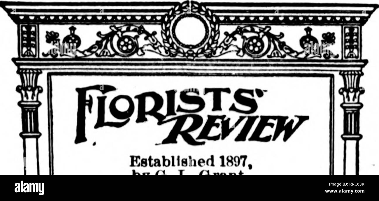 . Les fleuristes [microforme] examen. La floriculture. 54 L'examen pour fleuristes le 15 décembre 1921. Establlshert m, 1897 byCi. L'octroi. Publié chaque jeudi par FlOUISTS' Puiil THK-ISHINO Co., 600 560Bulldlngr Caxton, SOS South Dearborn St., ChlcaKO. Tél., Wabash 8195. Câble d'Reiflstered Florvlew, adresse, Chicago. Entré comme deuxième question classe 3,18 DÉCEMBRE U7, lors de la post-oHice à Chicago, 111., en vertu de la loi de mars 3,1879. Prix de souscription, de 2,00 $ par année. Au Canada, 3 $ ; pour l'Europe, 4,00 $. Les tarifs mentionnés sur demande de publicité. Commerce strictement seulement Tertislngr ad- accepté. tfl RÉSULTATS. Nous tlieni Banque D'Images