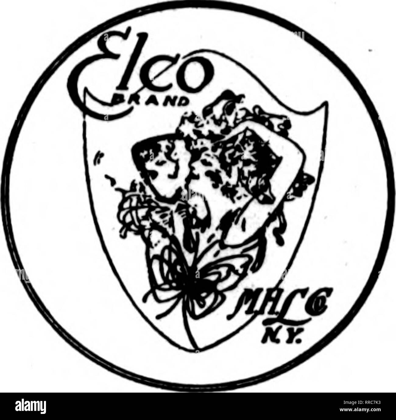 . Les fleuristes [microforme] examen. La floriculture. 64 La revue OCTOBBH 20 pour fleuristes. 1021 marque Elco On nous a posé la question comment nous rendre compte de la vague de popularité ELCO qui a balayé le pays. Nos efforts dans l'utilisation équitable, la qualité, le style, la valeur et la satisfaction complète de nos nombreux amis réponses pour la confi- ance dans le nom.. M. H. LEVINE CO. 874- marque ELCO Broadway New York City COMME PRODUIT. Allez-vous examiner l'spefimcns de chrysanthèmes expédiés à vous de Dayton, 0., et déterminer leur maladie ? Ces usines obtiennent un cast rouge, se ratatinent et apparaissent ensuite à di Banque D'Images