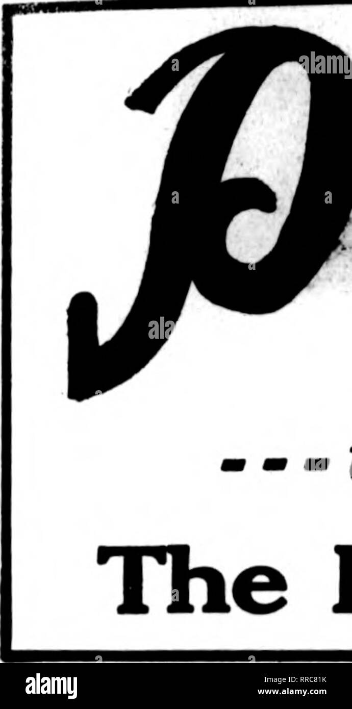 . Les fleuristes [microforme] examen. La floriculture. Pat. Obtenez. M. 19U. aranoid^^ - lorsque vous glacer. La société paranoïaque, Cleveland, Ohio Si vous allez peindre u(e HAR T MARQUE Garantie de pureté de plomb, de zinc et d'huile à l'extérieur de la peinture blanche à effet garanti sur chaque analyse chimique peut par gallon $3.25 6-T,'Allon, boîtes pour 3,78 3,00 si vous allez utiliser le produit de polissage de glacis Lexonite coûte moins à Bay-coûte moins d'appliquer écrire ns avant d'acheter votre reauire- ments. Nous pouvons Rive vous un meilleur article pour moins d'argent GEO. B. HART 4749-51.53-55, Rue Pierre, Rochester, N. T. yofir liistory tlic malade de Banque D'Images