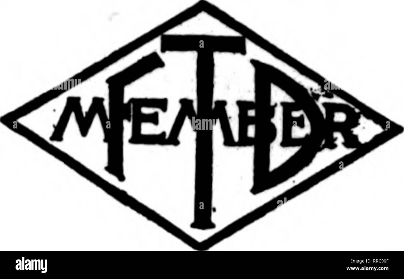 . Les fleuristes [microforme] examen. La floriculture. SAN FRANCISCO et environs. F. C. Jaeger &AMP ; Fils 141 Powell Street fleuristes dans notre nouvel emplacement nous avons des installations de traitement inégalée de vos commandes. Un rrancisco S d'OAKLAND. BERKELEY et environs CHAS. C. NAVLET CO. trois magasins : 423 et 427 Market Street SAN FRANCISCO. CAUF. 917 Washington Street, OAKLAND CAUF. 20 et 22 de la rue San Fernando est... .SAN JOSE. CAUF. San Francisco, Californie ALBERT O. STEIN Flower Shop 1160 SUTTER STREET Phoenix. ARIZONA Donofrio Co. Floral CHAS. E. Morton. Mgr. Vos commandes à fil-nous pour une livraison à Arizona Banque D'Images