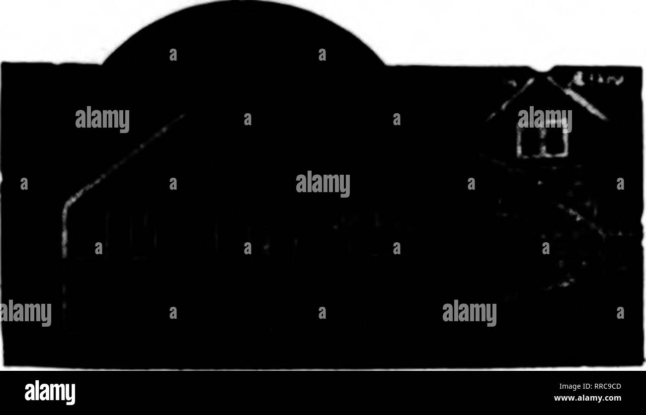 . Les fleuristes [microforme] examen. La floriculture. Le sud de l'ASSOCIATION DES FABRICANTS DE CYPRÈS 1230 Poydras Building, New Orleans, Louisiane, 1230 Graham ou bâtiment. Jackgonville. Fla.TRADK MABKKD INSISTER SUR-OTPRBSH AU BOIS D'DEALKB LOCAL YOUB. S'IL N'AVAIT PAS. LKT NOUS SAVOIR. (Veuillez l'agence la plus proche de l'adresse.) Si vous allez peindre utiliser marque HAR T Garantie de pureté de plomb, de zinc et d'huile à l'extérieur de la peinture blanche à effet Ouaranteed sur chaque analyse chimique peut par gallon $3. 255-galloD bidons, pour 3,78 3,00 si vous allez utiliser un produit de polissage Lexonite glaze jette de peur de Bay-Lett Coûts d'appliquer nous écrire Banque D'Images