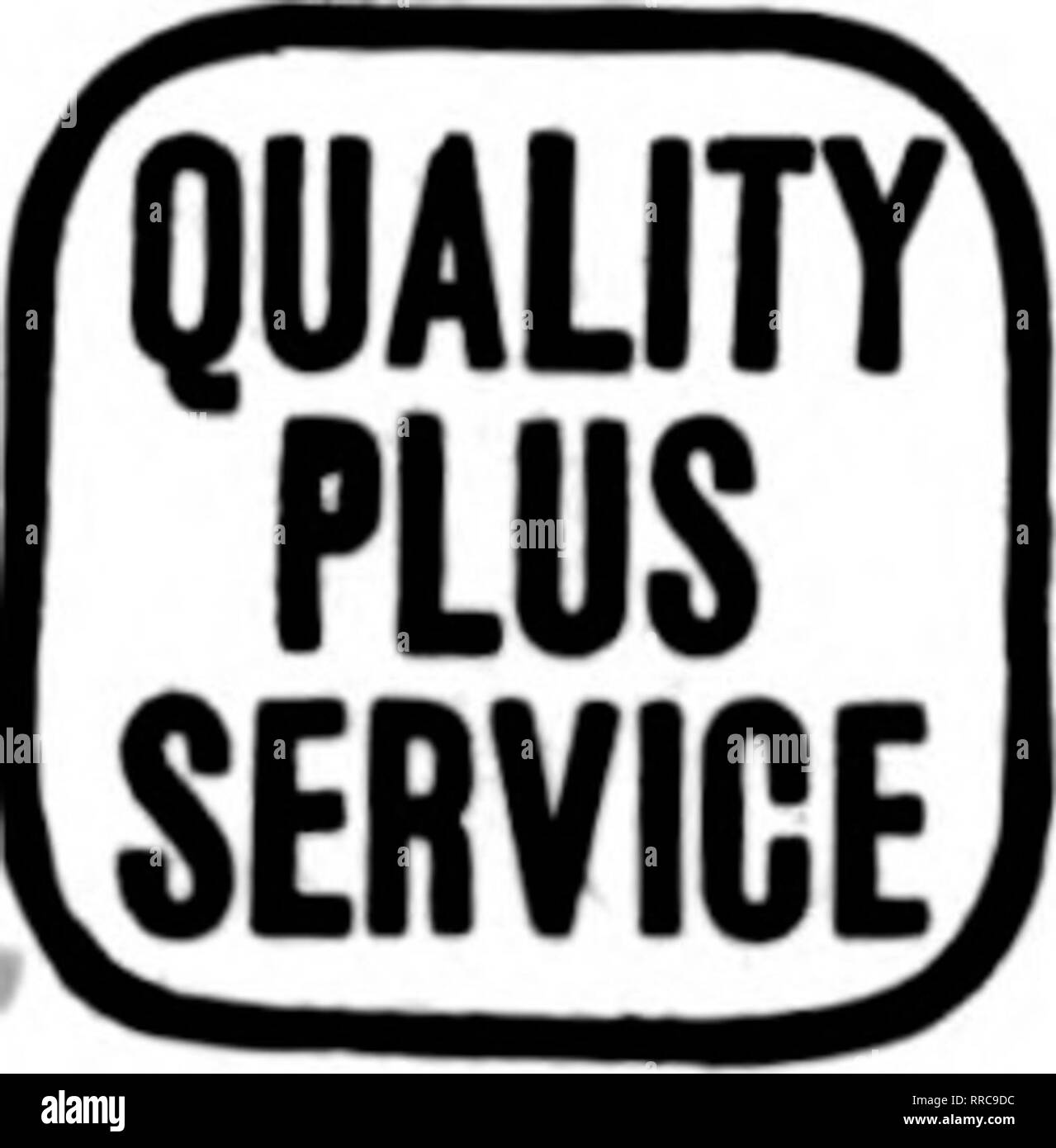 . Les fleuristes [microforme] examen. La floriculture. Pour l'Ouest je Wisconsin N.W. FLORAL l'Illinois NUR^ERX Dubuque, Iowa. DAVENPORT, IOWA ET WESTERN ILLINOIS G. F. FORBER, 313, rue Brady États les fleuristes Livraison de télégraphe Association. Veuillez noter que ces images sont extraites de la page numérisée des images qui peuvent avoir été retouchées numériquement pour plus de lisibilité - coloration et l'aspect de ces illustrations ne peut pas parfaitement ressembler à l'œuvre originale.. Chicago : les fleuristes Pub. Co Banque D'Images