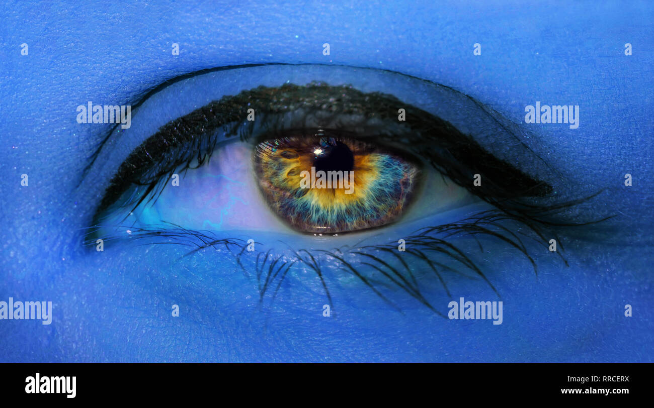 Woman eye macro close-up de longs cils et professionnelle de maquillage bleu néon bleu dans la lumière. Banque D'Images