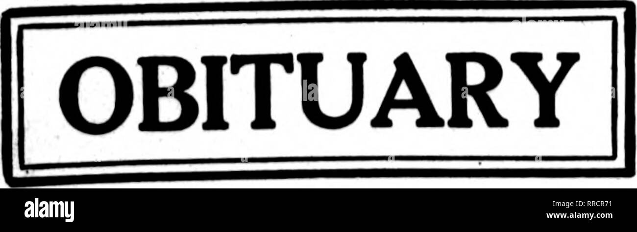 . Les fleuristes [microforme] examen. La floriculture. 27 octobre 1921 Le Rorists^ Review 29. Albert K Waxner. Albert L. Warner, le plus ancien fleuriste à active business au Rhode Island, est décédé à son domicile au 102 East street, vue agréable, Pawtucket, vendredi matin, le 14 octobre, suite à une courte maladie. Il était dans sa vingt-huitième année et avait continué de gérer sa gamme de maisons- vert à la fin de croissance, Asparagus plumosus exclusivement, qui était ab- sorbés par la Providence et Boston marchés. M. Warner est né à Webster, Mass., le 28 juillet 1834. Il s'est déplacé vers l'ouest avec ses parents quand les jeunes, et, après Banque D'Images