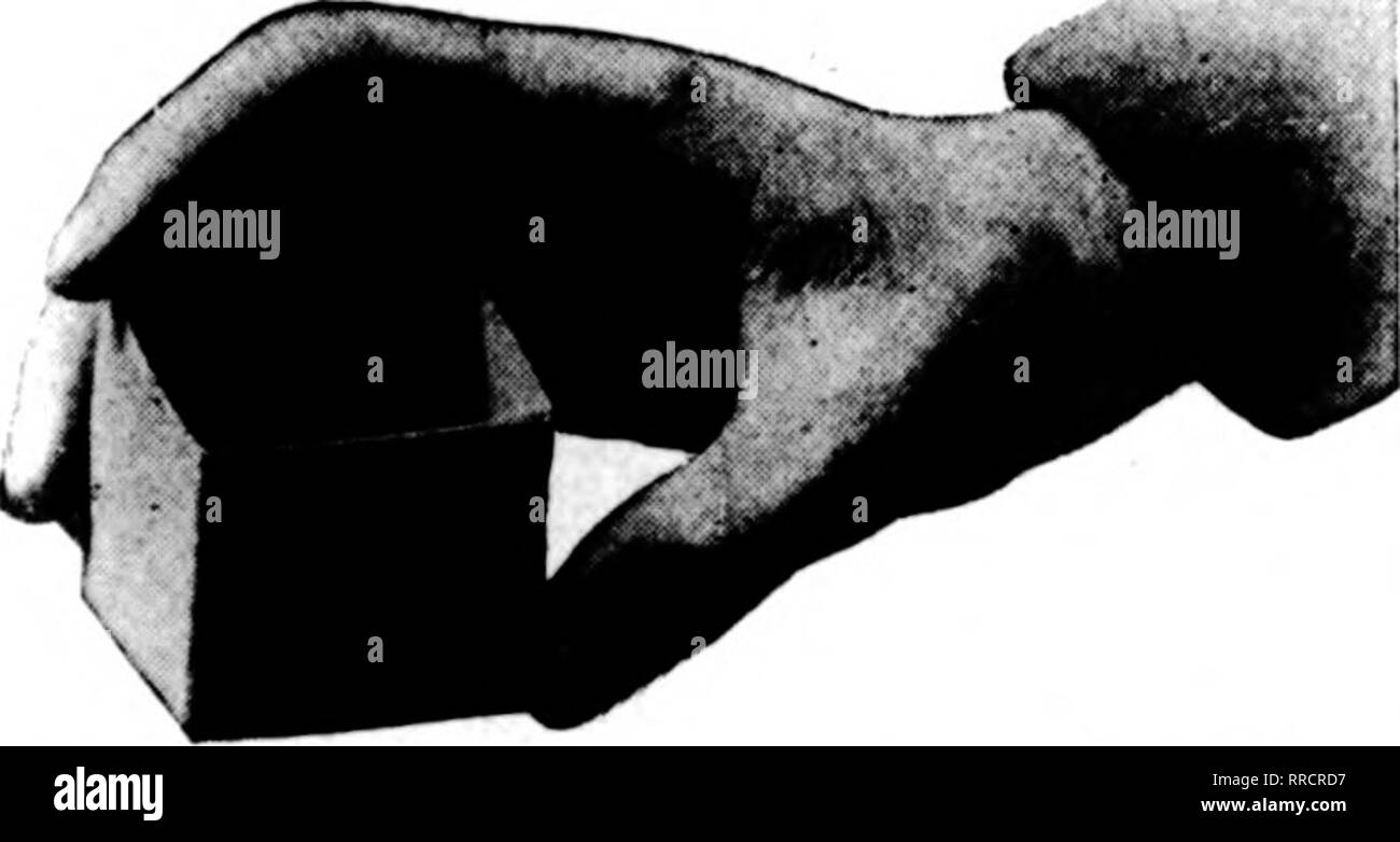 . Les fleuristes [microforme] examen. La floriculture. Mentl&gt;n l'examen lorsque vous écrivez. Les meilleures en thermodurcissable PAR ANS OU GLAÇURES TEST DROITE ET RESTE TENDUE FABRIQUÉS ET GARANTIS PAR LES PRODUITS DURABLES CO., échange BIdg., CLEVELAND (OHIO) mentionner l'examen lorsque vous écrivez. Si vous allez peindre utiliser marque HAR T Garantie de pureté du plomb, du zinc à l'extérieur d'huile ud peinture blanche à effet garanti sur chaque analyse chimique peut par gallon $3.25 6 gallon conserve, pour 3,78 3,00 si vous allez à glaze u"e Lexonite composé de vitrage coûte moins cher d'Acheter-coûte moins d'appliquer nous écrire avant l'achat d'y Banque D'Images