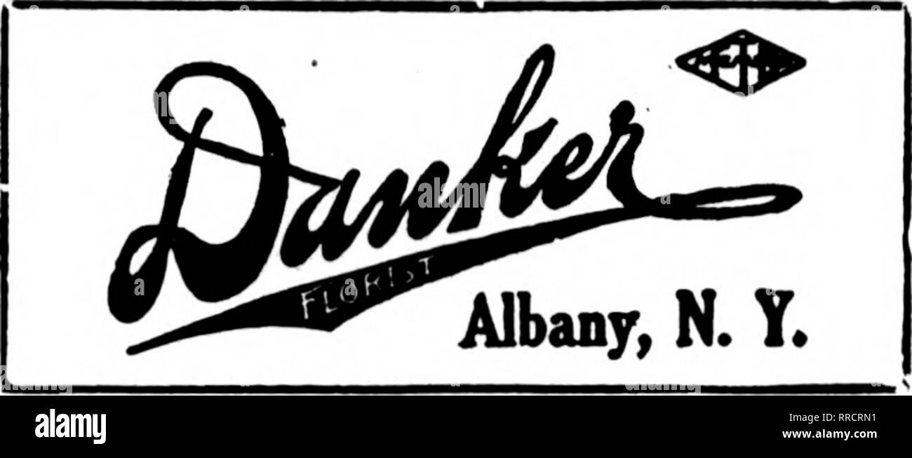 . Les fleuristes [microforme] examen. La floriculture. uffalo NEW YORK F.T.D. ^VWMWMW aiJlXSill !MEMBRES"i]MWl^. Felton's Flower Shop 352 Williams Street W. H. Slevers 330 Genesee Street S. A. Anderson 440 Rue Principale boutique de fleurs Colonial 230 Delaware Avenue Wm. H. Grever 77 et 79, rue Allen Kramer le Floiist 1291 Jefferson Street Lehde &AMP ; Galley 2165 Seneca Street W. J. Palmer &AMP ; fils 304, rue Main Scott la fleuriste et principales rues Balcom Charles Sandiford 2692 Main Street | ?.riiniiiiiiiiiiiiiiiiimiiiiiniiiiimiiiiiiiiiniiiiimiiiiiiiiiiiiii iiiimiiniiiiiiiiiiiiniiiiiiiiiiiiiiiiiiiiiiii ; KANS| Banque D'Images