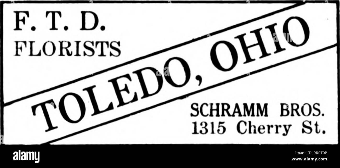 . Les fleuristes [microforme] examen. La floriculture. 697 ET ENVIRONS F. D. T. fleuristes. SCHRAMM BROS. 1315 Cherry St. TOLEDO et environs VENTE EN GROS ET AU DÉTAIL OTTO P. KRUEGER 427 East Broadway SUDER" TheToledo,Ohio,FlorI^s A. A. SUDER, propriétaire 2941-3003 CHERRY Street Toledo, Ohio METZ &AMP ; BATEMAN 221 Supérieur Fleuve MoiiiImm-s K. D. T. COLUMBUS, O.. et environs Le FLORAL MUNK CO.. Les producteurs peuvent remplir toutes les commandes de détail WK VA LE FAIRE PKOMITLY La semence Wilson &AMP ; florale Co. Columbus, Ohio Columbus, Ohio f.¥'S"X3-.. Le FRANKLIN PARK CO. FLORAL Fleurs coupées pour le centre de l'Ohio MBUS COLONNE. N*l'OHIO Banque D'Images