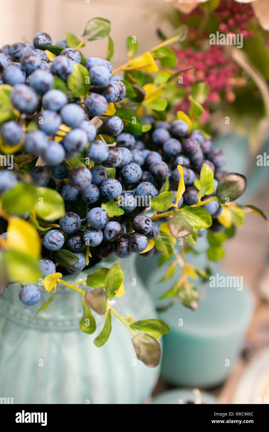 Plante ornementale avec des baies bleu et petites feuilles vertes dans un vase bleu. Arrangement de fleurs à l'intérieur. Banque D'Images