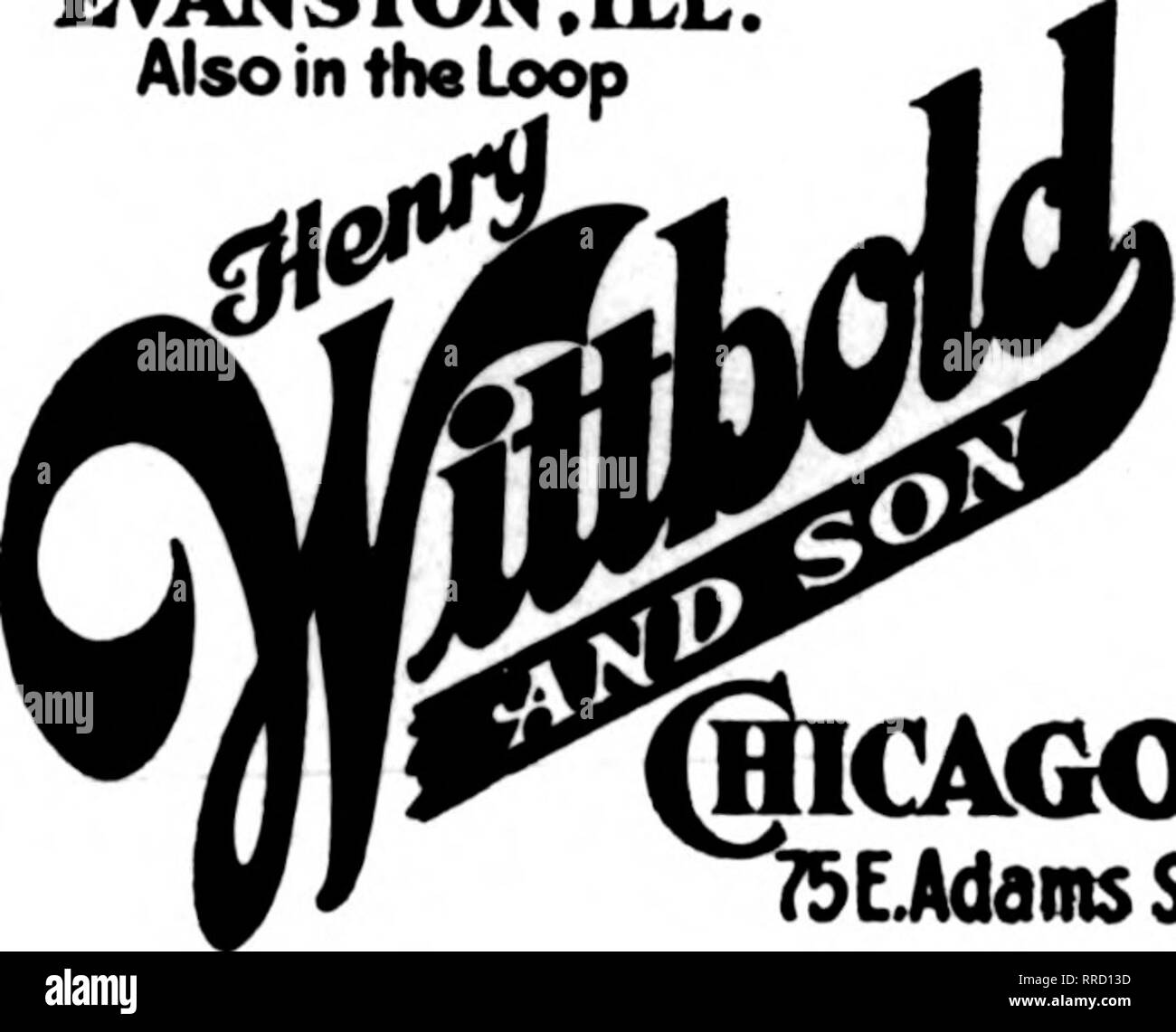 . Les fleuristes [microforme] examen. La floriculture. PEACOCK'S FLOWER SHOP HERBERT PIERRE, Mgr. Les états f. t. d. 4013 Milwaukee Avenue, Chicago ELGIN, malade. GEORGE SOUSTER ÉTATS F. T. D. 168 DU PAGE ST REE r GEO. A. KUHL, Pekin, Illinois .Ritliard larrclt ont passé une semaine au lac de sucre. À son retour, M. et Mme. Nelson Jarrett et M. et Mme Jack Sliorc ont conduit à l'Ozarks. Ils ont campé pendant deux semaines près de Pinevillc, Mo., et a pris tous les silures ils pourraient manger. .J. H. Boyd a peint ses maisons- vert à l'intérieur et l'extérieur. M. et Mme Boyd a repéré le jeudi 4 août, d'un séjour dans le nord de l'oar moteur M Banque D'Images