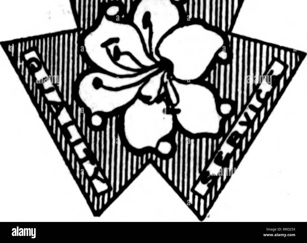 . Les fleuristes [microforme] examen. La floriculture. CINERARIA &gt ;,tr. Tr pkt. pkt. Grandiflora Prix, à Nain.60 1,10 $ Grandiflora Prix, plante taille moyenne CO 1,00 PRIMULA chinensis 'utr. Tr. pkt. pk'. Alba Masrniflca Chlswick 11,00 0,60 $ 60 l rouge.oo DacheHS 601,00 Holborn bleu r&gt;0 KerineHina 1,00 Splendens .-'&gt ;|itiiiiii. Écrire des bulbes de nénuphar à la fois pour les prix des graines de fleurs de bambou &Lt ; Graines d Cycaa* quitte T. SAKATA &AMP ; CO. Kanagawa, Japon, mais ^ Qualité Office : No 1 ITCHOMB KITANAKADORI• : graines de fleurs : YOKOHAMA KELWAY'S CHOICE de souches les fleuristes fleurs sont une leceive ont et Banque D'Images