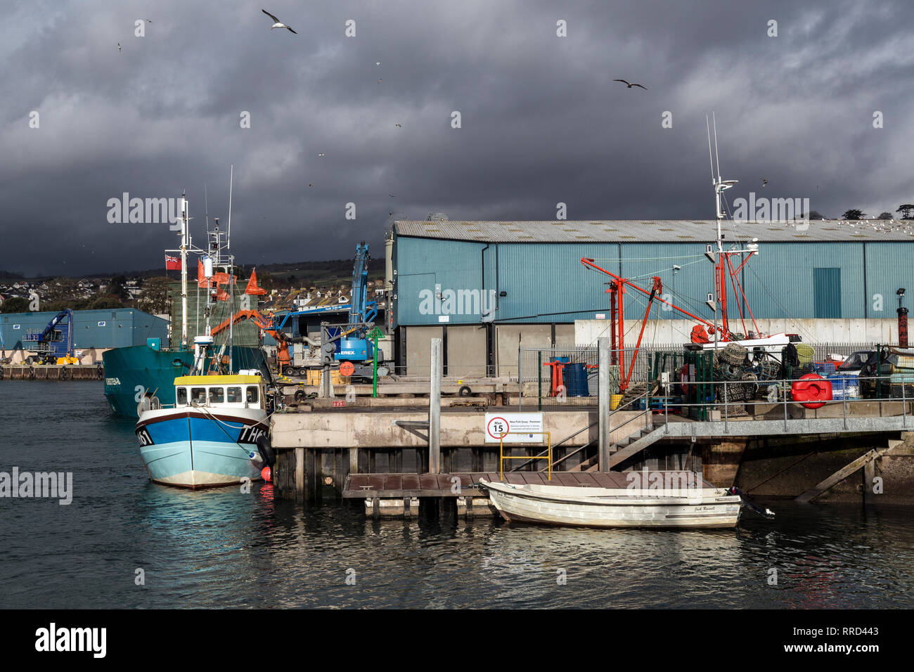 Trawler à Teignmouth, Commercial Dock, comté de Wexford, l'industrie de la pêche, Port, Horizontal, industriels, navires amarrés, quais, Teignmouth , Nautique Banque D'Images