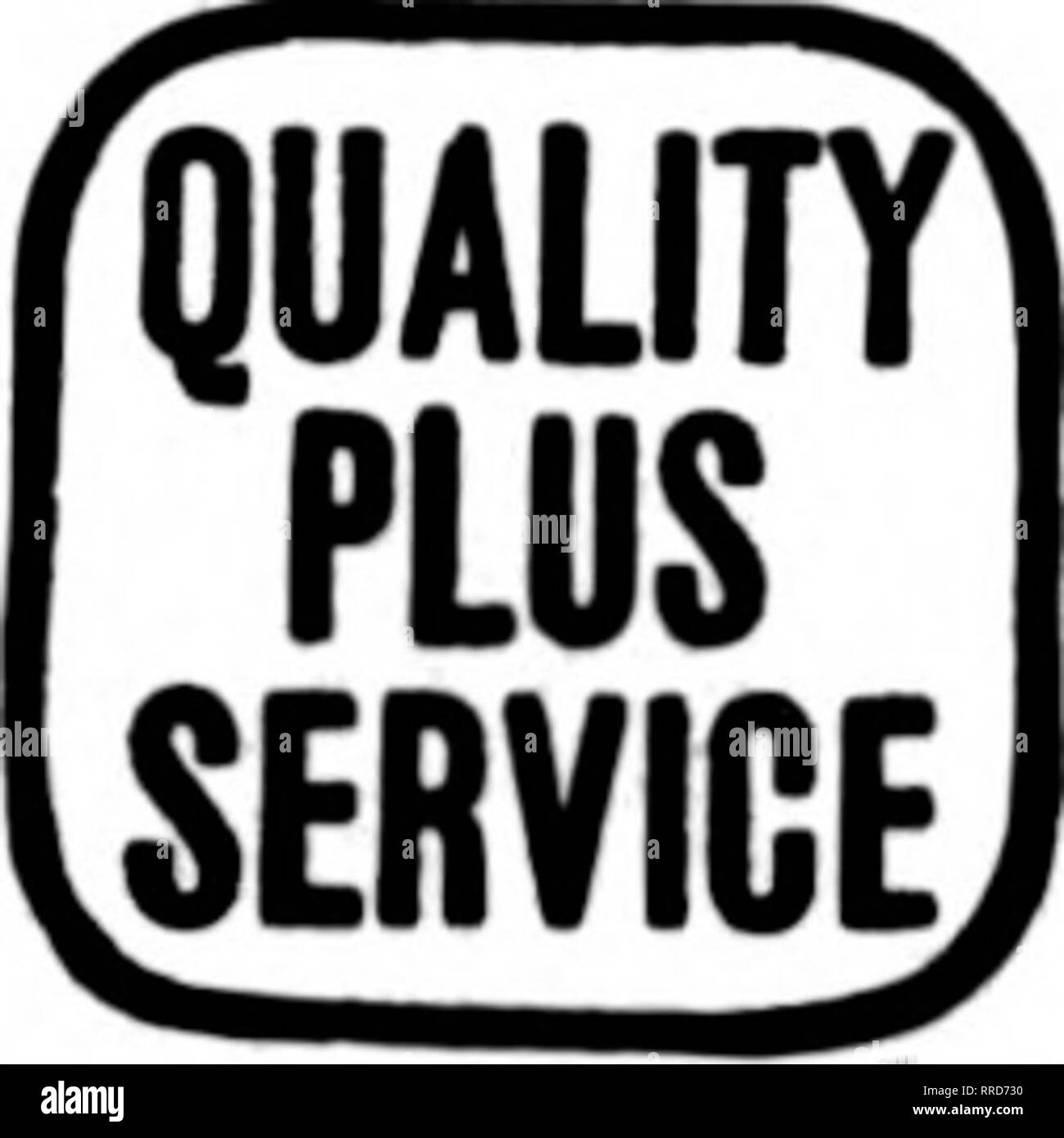 . Les fleuristes [microforme] examen. La floriculture. Pour { Eastern Iowa Western Wisconsin N. W. Illinois FWR NUR^^ERX Dubuque, Iowa. DAVENPORT, IOWA ET WESTERN ILLINOIS G. F. FORBER, 313, rue Brady États les fleuristes Livraison de télégraphe Association. Veuillez noter que ces images sont extraites de la page numérisée des images qui peuvent avoir été retouchées numériquement pour plus de lisibilité - coloration et l'aspect de ces illustrations ne peut pas parfaitement ressembler à l'œuvre originale.. Chicago : les fleuristes Pub. Co Banque D'Images