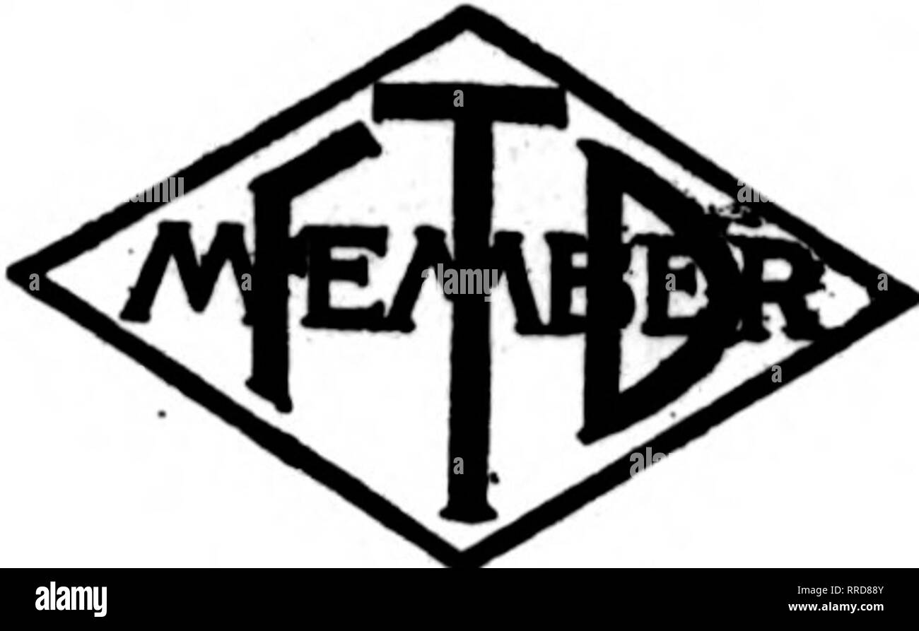 . Les fleuristes [microforme] examen. La floriculture. SAN FRANCISCO et environs F. C. Jaeger &AMP ; Fils 141 Powell Street fleuristes. Dans notre nouvel emplacement nous avons des installations de traitement inégalée de vos commandes. Un rrancisco S F Oakland, Berkeley et environs CHAS. C. NAVLET CO. trois magasins : 423 et 427 Market Street SAN FRANCISCO. CALIF. WaJkington 917 Street Oakland. CALIF. 20 et 22 de la rue San Fernando Eaat... .SAN JOSE. CALIF. San Francisco, Californie ALBERT O. STEIN Flower Shop 1160 SUTTER STREET, Phoenix Arizona Donofrio Co. Floral CHAS. E. Morton. Mgr. Vos commandes à fil-nous pour une livraison à Arizo Banque D'Images