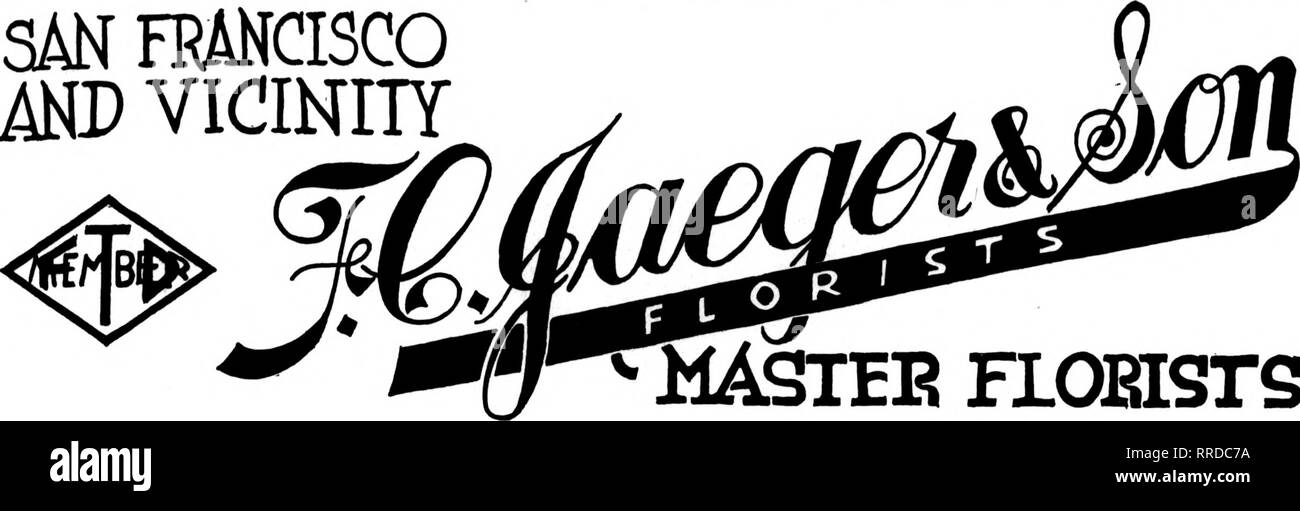 . Les fleuristes [microforme] examen. La floriculture. SAN FMCISCO VIOINITY MD. 141 Powell Street San FIOEISrS MASTEE Francis rendez, Calif. : Si une rrancisco ET ENVIRONS États Florists' Telegraph Association livraison où F. T. D. Les membres auront la plus grande satisfaction Brown &AMP ; Kennedy 3091 rue 16e s F une rrancisco Oakland, Berkeley et environs CHAS. C. NAVLET CO. trois magasins :- 423 et 427 Market Street SAN FRANCISCO. CAUF. 917 Washington Street Oakland. CAUF. 20 et 22 de la rue San Fernando est... .SAN JOSE. CALIF. SAN FRANCISCO, CAL. FLORAL ART CO. 255 PoweU Street meilleure attention étant donné que vous Banque D'Images