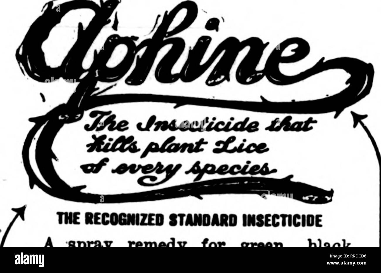 . Les fleuristes [microforme] examen. La floriculture. La REC06IIIZE0 STANOMO un spray insecticide pour y remédier, grreen noir blanc fly, ihripe soft et échelle. Pour FUNQINE othsr la rouille et l'oïdium, la rouille sur les fleurs, les fruits et légumes. Pour VERMIIWE eelworms anglewonaa, et à d'autres vers travaillant dans le sol. Pinte, $ 1 .OO, $3.00 le gallon vendu par les concessionnaires Aphine Mfg Co., """j'l""' mentionner l'examen lorsque vous écrivez. Pipe - Deuxième main - toutes les tailles et les raccords de tubes de chaudière. IMpecut à croquis. Nous garantissons la satisfaction complète ou argent remis. Phfladelphia Sectnd-Hand Pipe Supp Banque D'Images