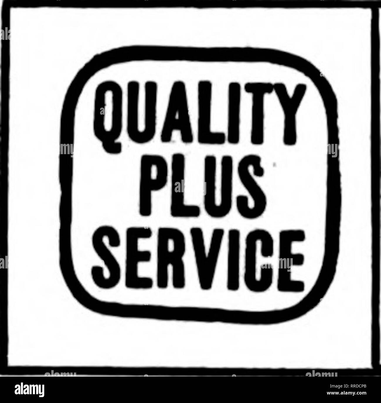. Les fleuristes [microforme] examen. La floriculture. Pour { Eastern Iowa Western Wisconsin N. W. Illinois FWRAl NUR^ERX Dubuque, Iowa. DAVENPORT, IOWA IOWA DE L'EST ET L'OUEST DE L'ILLINOIS GEO. F. FORBER, 313, rue Brady, en tout temps, mieux vous servir. Un autre atout de notre propre à votre service- Membre les fleuristes Livraison de télégraphe Assoc'ations. L'originalité.. Veuillez noter que ces images sont extraites de la page numérisée des images qui peuvent avoir été retouchées numériquement pour plus de lisibilité - coloration et l'aspect de ces illustrations ne peut pas parfaitement ressembler à l'œuvre originale.. Chicago : les fleuristes Pub. Co Banque D'Images