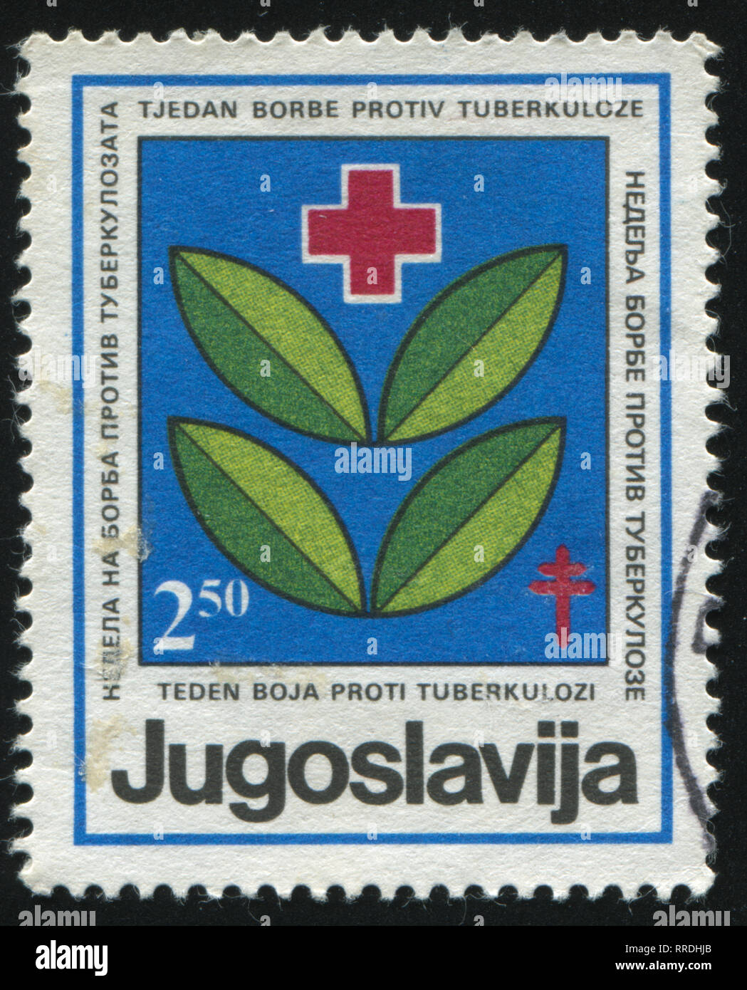 Russie KALININGRAD, 12 novembre 2016 : timbres en Yougoslavie, montre la croix rouge et les feuilles, circa 1969 Banque D'Images