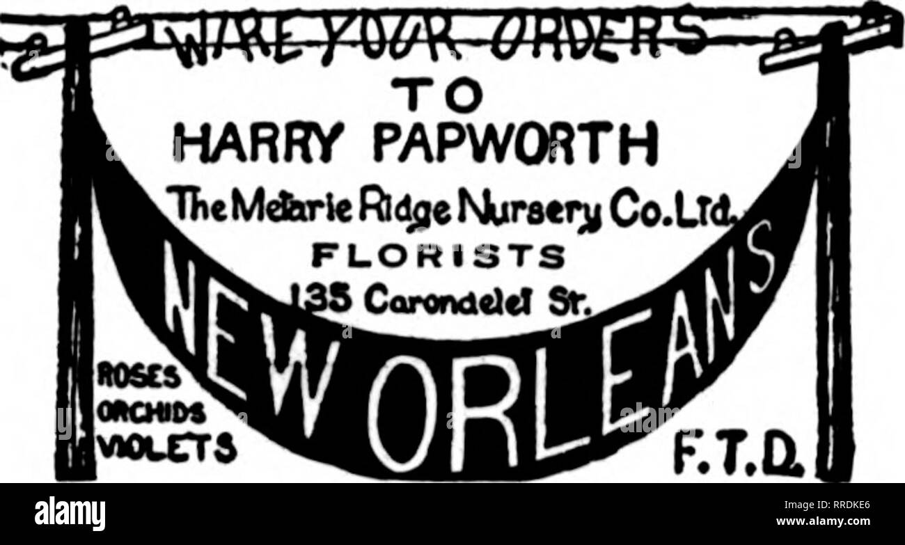 . Les fleuristes [microforme] examen. La floriculture. Louisiane - TEXAS - ARKANSAS SHREVEPORT, en Louisiane. U. J. VIRGIN 838 Canal St, NEW ORLEANS. U. BATON ROUGE, LA. Le ROSELAND MEMBRE FLEURISTE F. D. T. Sturgis (Michigan), MemljerF.T.D Coldwater, tous M'c^- donc... Mich, poloti HILLSDALE, MICH. R Une CTrvl sud I F. D. T. Points w Michigan. t. Ol J1-.I-. Les États Battle Creek, Michigan S. W. COGGAN, fleuriste, 25 E. Main St. de fleuristes Membre Delivory* Telegraph Saginaw, Michigan. SUNSHINE . GEO. A. WITHERIDGE. Prop. Fleurs* 416 West Avenue Genesee PETOSKEY, Enterprise Co. Floral au Michigan. ^^"""'l^^^.Ti :. Sw Banque D'Images