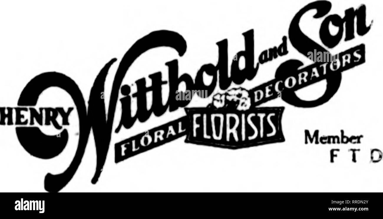 . Les fleuristes [microforme] examen. La floriculture. OTORES à Decatur, Illinois Illinois VILLE GIBSON et Railroa traiiic ;. EJcctidii nlso les agents de prendre place. H. .1. H. Baltimore, MD. Le marché. Il y avait beaucoup de bonnes actions sur le marché de l'^ la semaine dernière. Il s'est déplacé lentement. Ceci a été causé par un afflux de pivoines ; d'autres lignes d'inventaire a dû céder sa place à eux. La fleur est beaucoup d'affaires de la même façon que les autres secteurs d'activité ; le pub- lic veut que les choses comme elles viennent en saison. Puis, sur le dessus de la les pivoines, il y avait des expéditions de glaïeuls sud sur le marché. Bien que les pointes de celles-ci étaient bonnes, th Banque D'Images