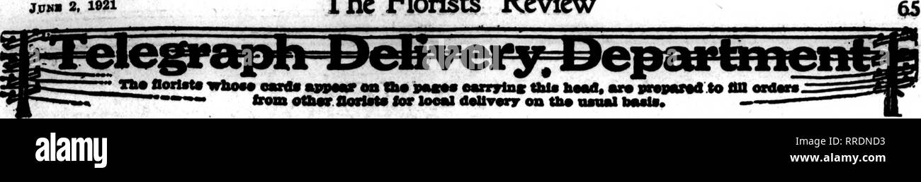 . Les fleuristes [microforme] examen. La floriculture.  ? • «^ T ' i , : ? Ky^V' JDMI 2. 1921 L'examen les fleuristes. Il n'y a pas de danger que nos fleurs, lors de l'envoi aux bateaux à vapeur, les hôtels, les hôpitaux, sani- taria, etc., ne seront pas la^. Nous ne comptons pas sur la chance que le bon vase ou recepta- cle sera disponible. Nous fournissons nos propres vases avec toutes les commandes de $5.00 jusqu'à la vapeur- ers, hôtels, hôpitaux et sanatoriums. Hors de chaque 000 commandes nous livrer, soixante-dix rendez-vous des malades, de vapeur et d'hôtels. Il co^s-nous seulement j'Kc par cu pour donner à notre^omers cette assurance de voiture plaisir.. Veuillez noter que th Banque D'Images