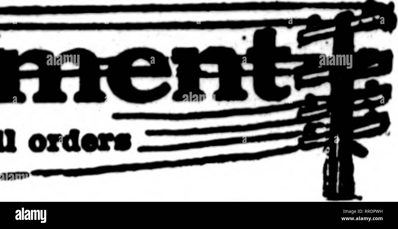. Les fleuristes [microforme] examen. La floriculture. Le flortsf eaird avpMur whove* sur ce enxryiag* rythme fhe tête, sont prêts à des ordonnances de la grippe *'*- Irom otiier deliTorr locaux pour les fleuristes sur l'ET D'habitude.. San Francisco et environs &gt ; ? Rorie-McMac Laren &AMP ;)mpany 141 Powell Street les fleuristes, nous cultivons notre propre stock et avec une vaste série de nur- de tirer de peut donner des valeurs inhabituelles. KETAI) un rrancisco S GROS F Oakland, Berkeley et environs CHAS. C. NAVLET CO. trois magasins :- .423 nd 427 Market Street SAN FRANCISCO. CAUF. 917 Washington Street Oakland. CAUF. 20 et 22 à l'Est San Fernando Stre Banque D'Images