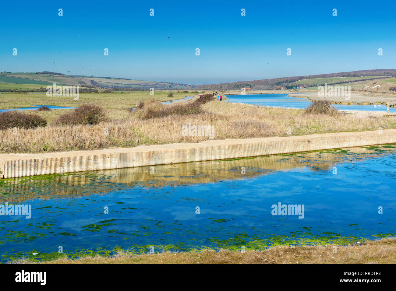 Marche de Cuckmere Haven beach près de Seaford, East Sussex, Angleterre. Le parc national des South Downs. Vue sur les eaux bleues de la rivière, les oiseaux, selective focus Banque D'Images