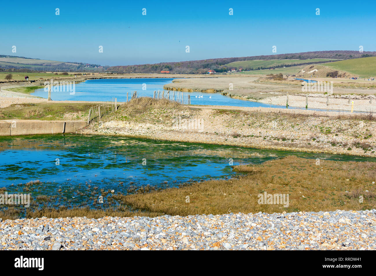 Marche de Cuckmere Haven beach près de Seaford, East Sussex, Angleterre. Le parc national des South Downs. Vue sur les eaux bleues de la rivière, les oiseaux, selective focus Banque D'Images