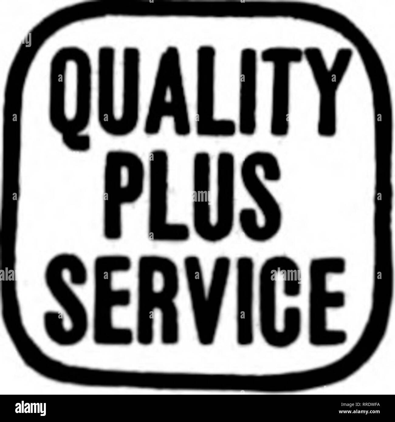 . Les fleuristes [microforme] examen. La floriculture. Pour { Eastern Iowa Western Wisconsin N. W. Illinois FWR NUR^^ERX Dubuque, Iowa. DAVENPORT, IOWA ET WESTERN ILLINOIS G. F. FORBER, 313, rue Brady États les fleuristes Livraison de télégraphe Association. Veuillez noter que ces images sont extraites de la page numérisée des images qui peuvent avoir été retouchées numériquement pour plus de lisibilité - coloration et l'aspect de ces illustrations ne peut pas parfaitement ressembler à l'œuvre originale.. Chicago : les fleuristes Pub. Co Banque D'Images