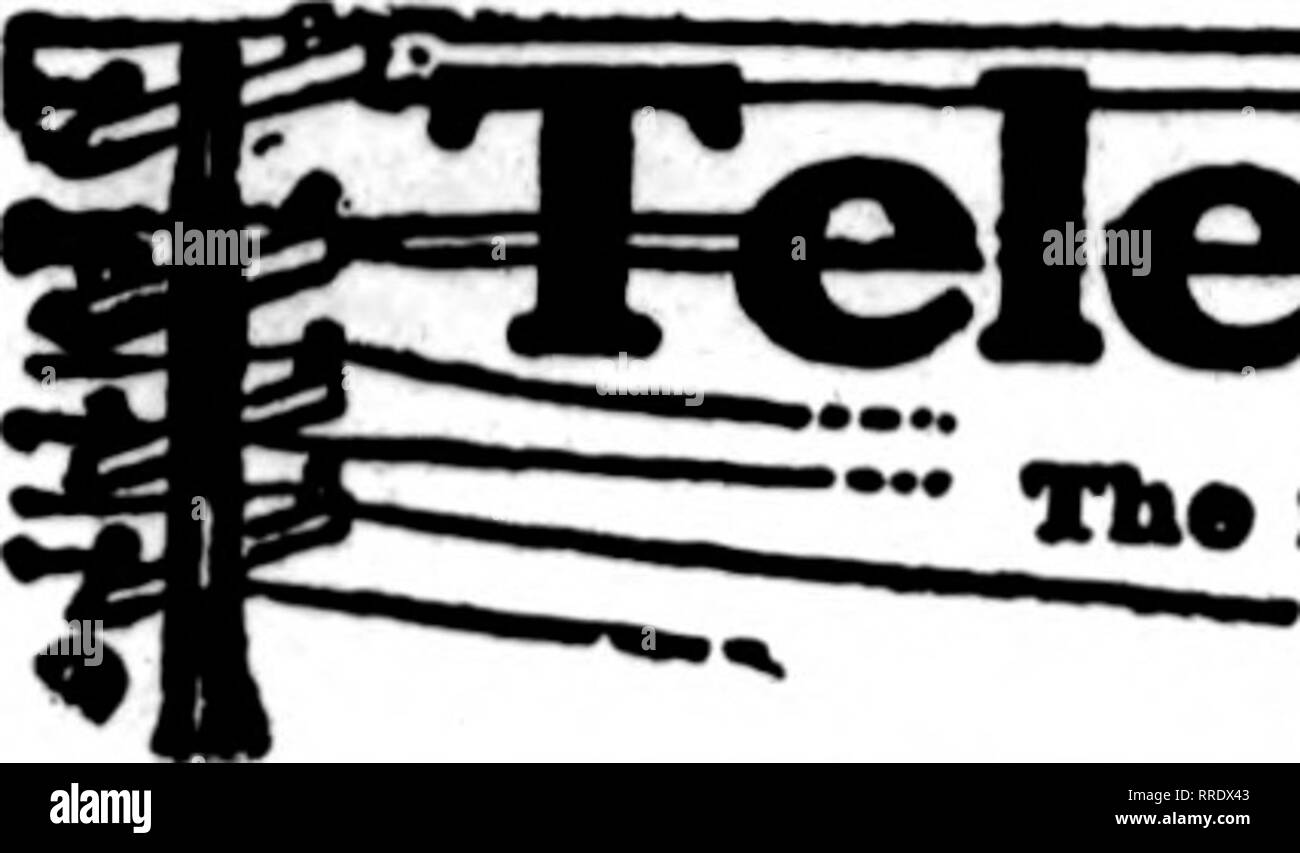 . Les fleuristes [microforme] examen. La floriculture. 28 avril 1921 Les fleuristes^ 105 Examen. Veuillez noter que ces images sont extraites de la page numérisée des images qui peuvent avoir été retouchées numériquement pour plus de lisibilité - coloration et l'aspect de ces illustrations ne peut pas parfaitement ressembler à l'œuvre originale.. Chicago : les fleuristes Pub. Co Banque D'Images