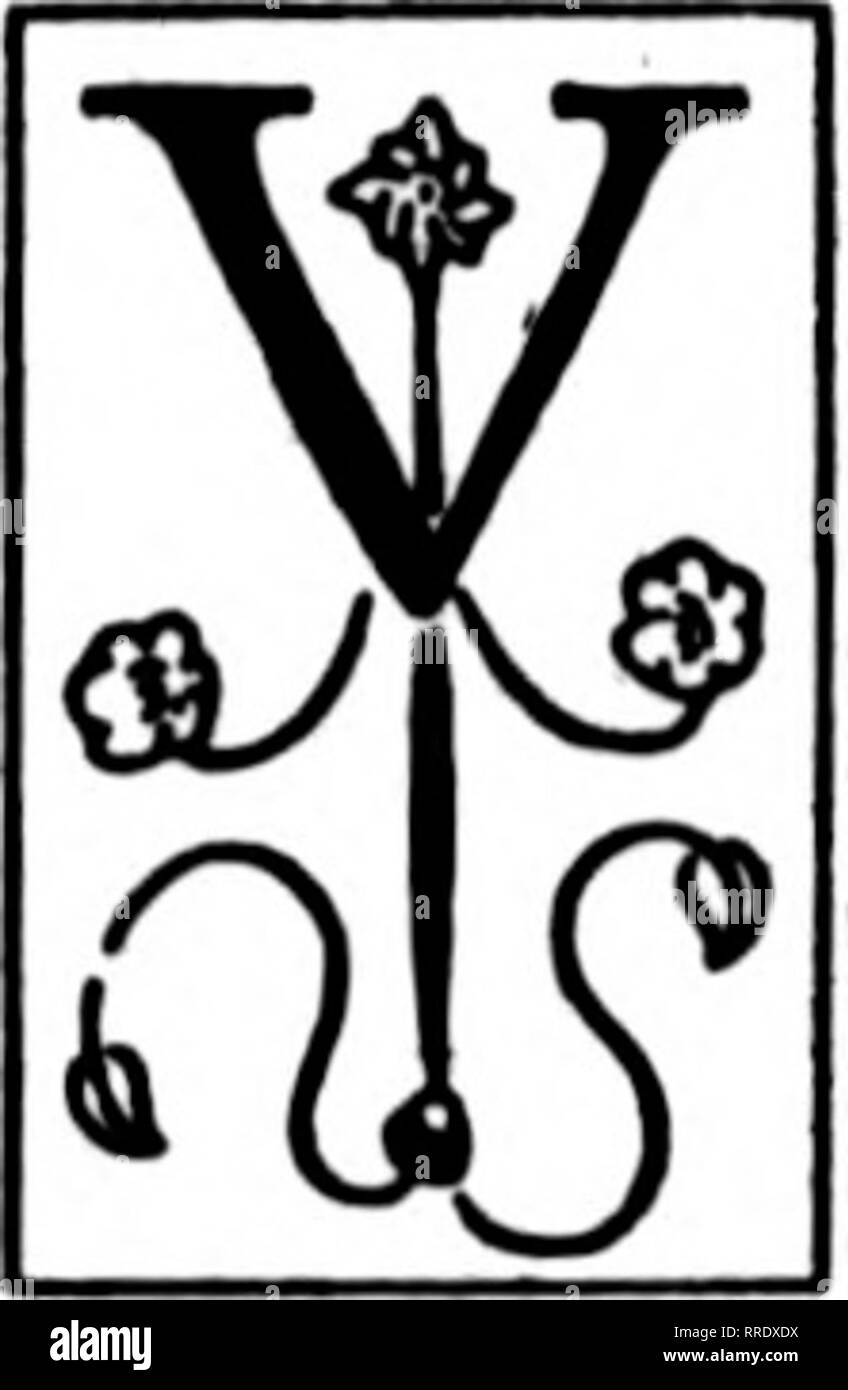 . Les fleuristes [microforme] examen. La floriculture.  !I !SG n°.li" ! :L&gt ; ii IB5ir^^ : ii FACE À L'EST pour les champs des Flandres Memorial Day signifie maintenant davantage que la mémoire de Gettysburg et Richmond. Les rangs de cette nati-sur soldat d'anciens combattants ont été gonflé par les millions de personnes qui ont participé à la dernière grande guerre. La perte de ceux qui sont morts en France est poignant et leur mémoire sera honorée avec des fleurs.. ETERANW de la guerre civile sont plus- ly disparu. L'ancien bleu-manteaux qui re- principal de la Grande Armée de l'être- public de parade le jour sacré pour leur mémoire sont de moins en moins chaque année. Mais la d Banque D'Images