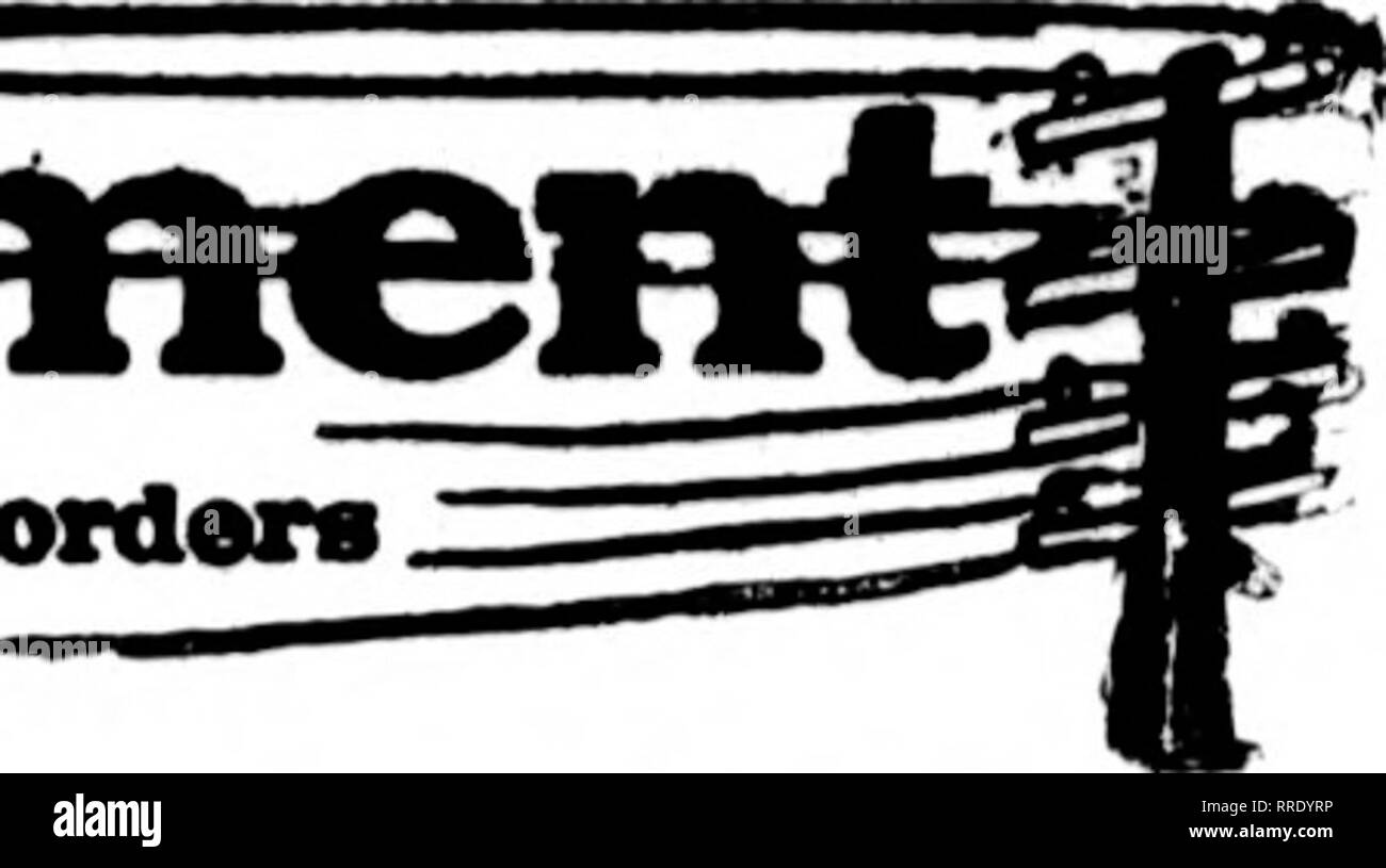 . Les fleuristes [microforme] examen. La floriculture. E* un fleuriste* dont le avpear^* carte de pas canrlnc sur cette tête, sont itrepared • à remplir les commandes ?"&Lt ;•- d'autres fleuristes locaux pour dellTory sur tiM omal.. San Francisco et environs Mac Laren SociétéRorie-Mc141 Powell Street les fleuristes, nous cultivons notre propre stock et avec une vaste série de nur- de tirer de peut donner des valeurs inhabituelles. Gros BETAII S F une rrancisco Oakland, Berkeley et environs CHAS. C. NAVLET CO. trois magasins :- 423 et 427 Market Street SAN FRANCISCO. CAUF. 917 Washington Street Oakland. CALIF. 20 et 22 à l'Est de la rue San Fernando.. Banque D'Images