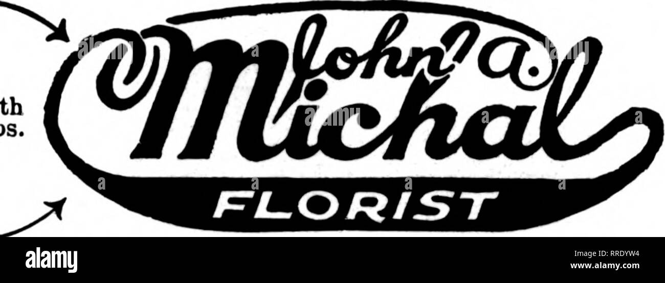 . Les fleuristes [microforme] examen. La floriculture. HENior EVANSTON, malade. 3025 Central Street Chicago livraisons rapides n'importe où sur le côté sud ou dans la banlieue sud de la ville. STORE ET LES CONSERVATOIRES 7045 STONY ISLAND AVE.. Magasins dans Decatur, Illinois Illinois Railroad et GIBSON CITY Centres. D'excellentes installations pour l'exécution des commandes pour toutes les villes du centre de l'Illinois. SIMMON &AMP ; PETERSON Membres Floiists» Te'egraph la livraison comme^n. E 77-70. MADISON ST. CHiCAoa CHICAGO Avondale Flower Shop ** ? ?'." ?".. ?*". S182 Milwaokee marché Avenue. Quelques beaux glaïeuls sont sur le marché et sont l)une sonnerie Banque D'Images