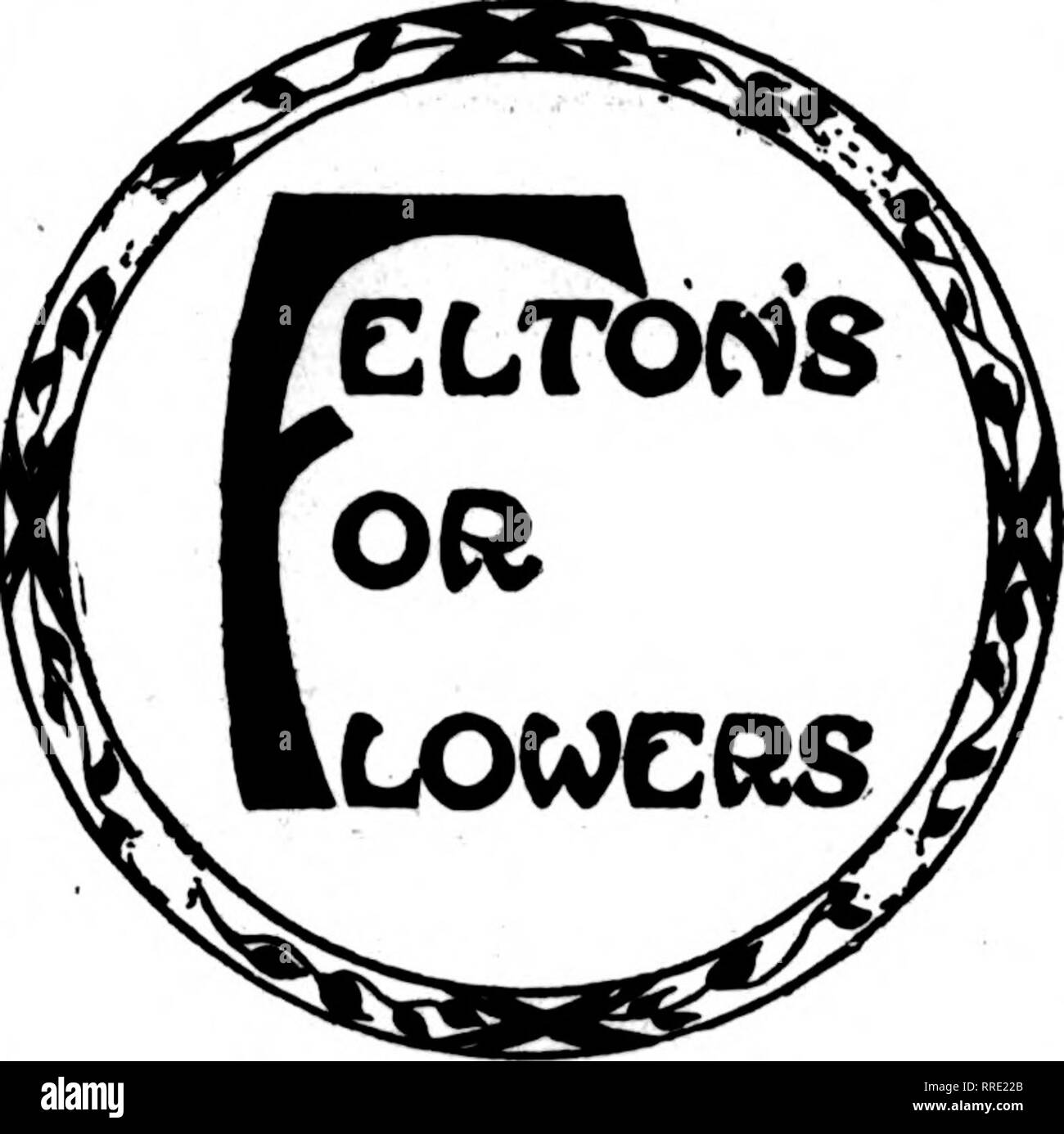 . Les fleuristes [microforme] examen. La floriculture. TOLEDO et environs VENTE EN GROS ET AU DÉTAIL OTTO P. KRUEGER 427 East Broadway SUDER EST TheToledo,Ohio, Florins A. A. SUDER, propriétaire 2941-3003 CHERRY STREET COLUMBUS. O., et environs Le FLORAL MUNK CO., les producteurs peuvent remplir AU COMMANDES DE DÉTAIL WILSON NOUS LE FERONS RAPIDEMENT Columbus, Ohio Membres F.T.D.Ass'n. Columbus, Ohio THB FRANKLIN PARC FLORAL CO. Cnt fleurs pour le centre de l'Ohio Columbus. OHIO r*"^ T '1 n 0 Sc Membre^sur. JNeil rlower ^bhop t"p VAN METER FLOWER SHOP 2^ %Si SPRINGFIELD.OHIO MEILLEURES FLEURS POUR CHAQUE OCCASION Columbus, Ohio GAY ST. FLO Banque D'Images