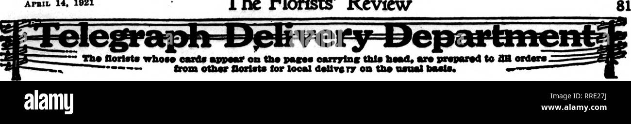 . Les fleuristes [microforme] examen. La floriculture. APBIL 14, 1821 L'examen les fleuristes. r Tfc* Oorlat* whof anpMtf* carte* sur la tuberculose* pmw" eanrylBK* DMO tills ar* pr"p""4 à ttU erd"rs " ?"- flrom aMrllo«« tstorioo*l"id" vaiMlMMls UTarToatli«*. Veuillez noter que ces images sont extraites de la page numérisée des images qui peuvent avoir été retouchées numériquement pour plus de lisibilité - coloration et l'aspect de ces illustrations ne peut pas parfaitement ressembler à l'œuvre originale.. Chicago : les fleuristes Pub. Co Banque D'Images