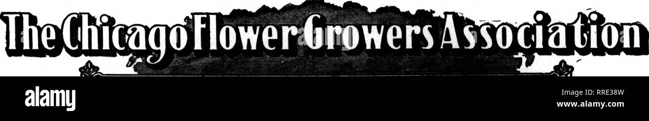 . Les fleuristes [microforme] examen. La floriculture. La revue Febbuaby pour fleuristes 24, 1921 GEO. C. WEILAND, PrMldcnt SCHRABIM FRED, VLC"-PrMld« iit RUDOLPH ELLSWORTH, Secrétaire Trésorier CHARLES McCAULEY, nos clients veulent-et. WH9LESALE GD9WEDS °/"CUT fL9WEDS''-'PLANTES]/) 182 N. Wabash Avenue Chicago L D. fxchaife 282 privé de téléphone centrale de la qualité et de la quantité Nous vous offrons ces deux-plus nous avons le plus grand et le mieux équipé du département d'expédition sur le marché de Chicago. Veuillez noter que ces images sont extraites de la page numérisée des images qui peuvent avoir été retouchées numériquement pour plus de lisibilité - col Banque D'Images