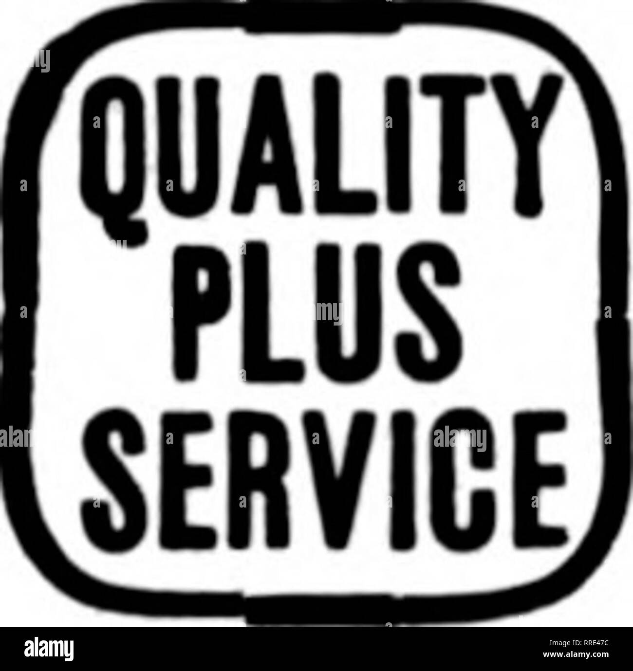 . Les fleuristes [microforme] examen. La floriculture. Pour l'Ouest je Wisconsin N.W. FLORAL l'Illinois NUR^ERX Dubuque, Iowa. DAVENPORT, IOWA ET WESTERN ILLINOIS G. F. FORBER, 313, rue Brady États les fleuristes Livraison de télégraphe Association. Veuillez noter que ces images sont extraites de la page numérisée des images qui peuvent avoir été retouchées numériquement pour plus de lisibilité - coloration et l'aspect de ces illustrations ne peut pas parfaitement ressembler à l'œuvre originale.. Chicago : les fleuristes Pub. Co Banque D'Images