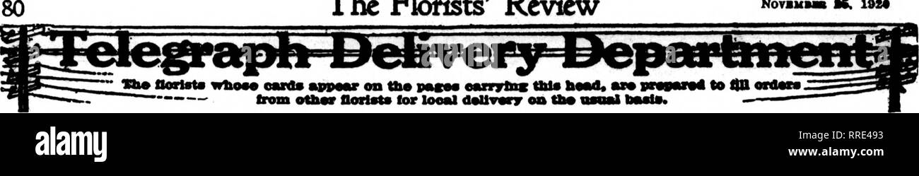 . Les fleuristes [microforme] examen. La floriculture. Les fleuristes^ NOTBlll Examen M. 1"2". L" * 11 T ^ ^ ^ ^*'' les prises de commande pour Louisville et placés avec OUlSVllie, RV. ED™ C. WALKER &AMP ; BROS. &Gt ;^ ^^^-^^ ? ^^V AAA j a m.^ •^ ^3, QUATRIÈME AVENUE NOUVEAUX MEMBRES DU F. D. T., MAIS VIEUX À L'ÉCHANGE 636 Fourth Avenue sera fiDed^accor ng à notre réputation, whidi tbe est meilleur Lexington, KY. JOHN A. KELLER CO. IKCORPORATBD la rue Main, en face de l'hôtel Phoenix Service pour tous les États du centre et de l'Eastern Kentucky FUdstt Ddiveiy* Association Télégraphe Lexington, KY. HONAKER, le fleuriste Plus grand chat fleur grandir Banque D'Images