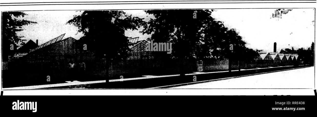 . Les fleuristes [microforme] examen. La floriculture. 10 mars, 1921. Les fleuristes^ 167 Examen. Toutes les serres se ressemblent à première vue. Mais-il y a un monde de différence quand vous venez d'examiner les détails. Et n'importe quel producteur va vous dire qu'il y en diflferencs isa grand coût de l'opération, aussi. C'est le point le plus bas-coût d'abord est souvent le plus haut coût d'exploitation. Les Serres de Foley sont mieux construits. Ils sont supérieurs dans la construction, plus de détails. Une serre de Foley est tendue pour commencer - et, en raison de la force et la rigidité de la construction, il reste serré. Bris de glace est réduite à une min Banque D'Images