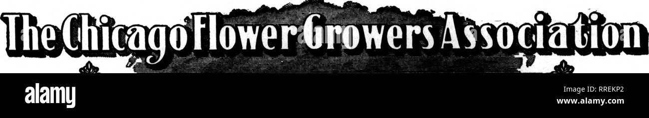 . Les fleuristes [microforme] examen. La floriculture. Les fleuristes^ Decdmbgb d'examen 9. 1920 GEO. C. WEILAND, président FRED SCHRAMM, Vlce&gt;Presldent RUDOLPH ELLSWORTH, Secrétaire CHARLES McCAULEY. Nos clients veulent-trésorier et. En gros des GD9JEUDI 28 NOVEMBRE 2013 ^/'FLoWEDS^ CUT'^^^182  % PLANTES N. Wabash Avenue Chicago L. D. Phone Randolph 631 Nous appelons instamment tous les acheteurs à laisser veut être connu de Noël à la fois. Veuillez noter que ces images sont extraites de la page numérisée des images qui peuvent avoir été retouchées numériquement pour plus de lisibilité - coloration et l'aspect de ces illustrations ne peut pas parfaitement ressembler à l'ou Banque D'Images