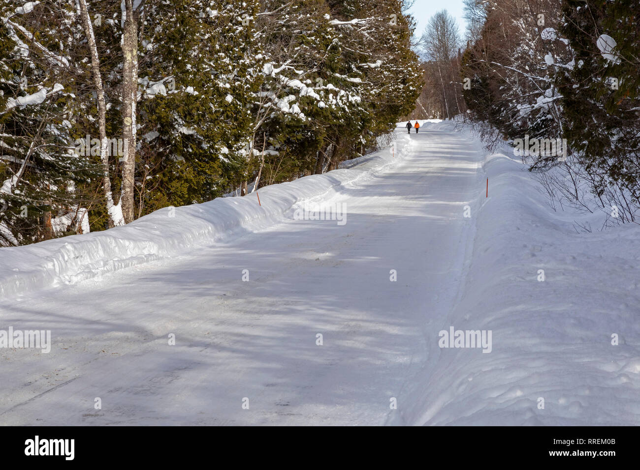 Munising, Michigan - deux personnes marcher le long Sand Point Road en hiver, dans la région de Pictured Rocks National Lakeshore. Banque D'Images