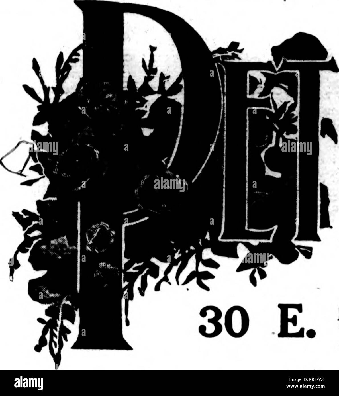 . Les fleuristes [microforme] examen. La floriculture. 27 janvier, 1921 Le Flortsts' Review 43. Veuillez noter que ces images sont extraites de la page numérisée des images qui peuvent avoir été retouchées numériquement pour plus de lisibilité - coloration et l'aspect de ces illustrations ne peut pas parfaitement ressembler à l'œuvre originale.. Chicago : les fleuristes Pub. Co Banque D'Images