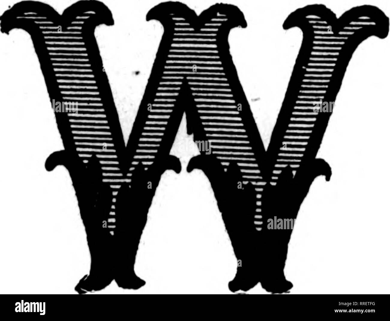 . Les fleuristes [microforme] examen. La floriculture. FlBBUABY Rorists 10, 1921 L'examen des 47 AHENTION : regardez le prix bas. Sur SCRIPT MOTS et no 1 LETTRES D'Or ils sont les meilleurs Q&amp;IMPORTÉS DE RÉALITÉ OR brillant et extra fine gommé à l'arrière. S'ils ne sont pas les meilleurs que vous avez jamais eu, les renvoyer à nos frais. Nous voulons que votre entreprise en lettres d'or et de script. N° 1 Lettres d'or, par 1 000 - - - - $3,00 Mots Script, or ou violet, pour 100 mots 2,00 $ n° 1 dans le texte suivant : Père fille Mamma tante ami Mo'son papa fils oncle Baby Sister Grandpa Mari Darling notre frère Granama Banque D'Images