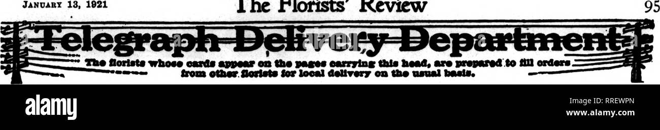 . Les fleuristes [microforme] examen. La floriculture. Jancabt 13, 1021 L'examen les fleuristes. San Francisco et environs Mac Laren G)mpanyRorie-Mc141 Powell Street les fleuristes, nous cultivons notre propre stock et avec une vaste série de nur- de tirer de peut donner des valeurs inhabituelles. Un RBTAII rrancisco S GROS F Oakland, Berkeley et environs CHAS. C. NAVLET CO. trois magasins : 423 et 427 Market Street SAN FRANCISCO. CAUF. 917 Washington Street, OAKLAND CAUF. 20 et 22 de la rue San Fernando est... .SAN JOSE, Californie. SAN FRANCISCO Podesta Baldocchi &AMP ; 224-226, avenue Grant invite et carefnl attention à l'ordre de Ont. Banque D'Images