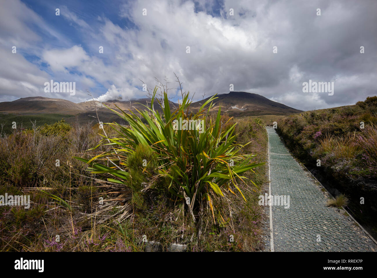 Le paysage de l'itinéraire pédestre de Tongariro, en Nouvelle-Zélande. Banque D'Images