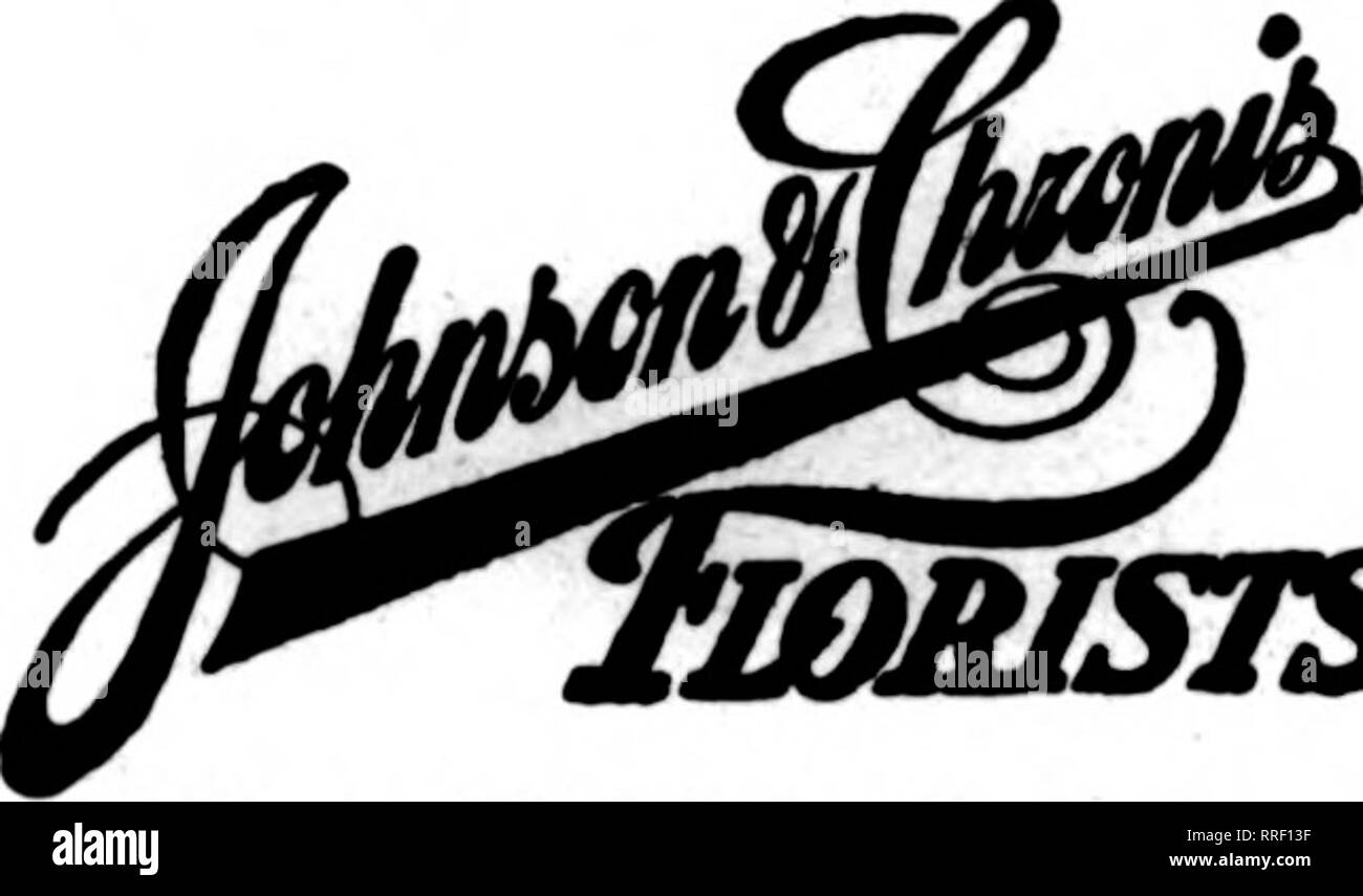 . Les fleuristes [microforme] examen. La floriculture. W* répondre à ceux qui reauire CHICAGO le meilleur. &Amp ;$TABLI QU'ELLE AVAIT Prix I8G5 4647 reaaonabl* GRAND BL VD. semaine, participation à la convention de la Telegraph pour fleuristes Association de livraison. Nathan Kingsley, chef de la mul- lanphy les fleuristes Grand avenue store, revient d'une visite de dix jours à Hattiesburg, au Mississippi, Mme Stemme Stemme de &AMP ; Fils, est sa belle-soeur. Charles Young, président de C. Young &AMP ; Sons Co., dit qu'ils ont connu l'une des meilleures saisons de l'ampoule en années. Leur courrier commandes ont été exceptionnellement fortes. Walter Young wa Banque D'Images
