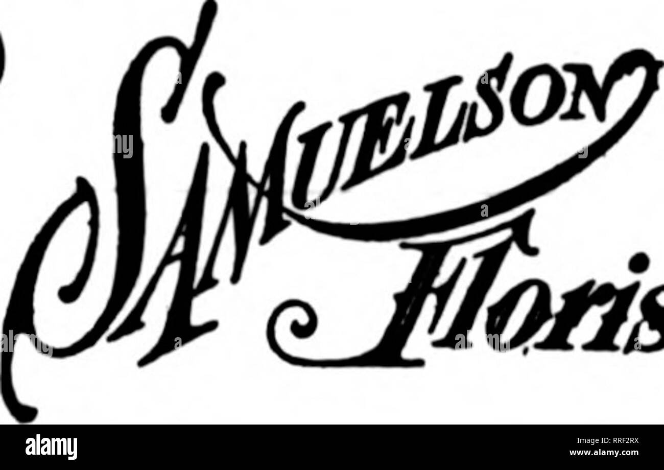 . Les fleuristes [microforme] examen. La floriculture.   La Chicago PALMER Wf^£ FLEURISTE MAISON 17 Membre de l'Est F. T. D. MoNROE St. PEACOCK'S FLOWER SHOP HERBERT PIERRE, Mgr. Les États f.t.d. /^TTT/^^ A f f 4013 Milwaukee Avenue. VyXllUiYVjU POUR LA QUALITÉ. SERVICE ET EFFICACITÉ SUPRÊME JACKSON BOUTIQUE DE FLEURS ("m'bbbfT.M " 748 East 63rd Street. CHICAGO Nous avons le yoDr businesi stock et que vous souhaitez. Nous gérons un larce et gamme complète de choix de fleurs et plantes fleuries de chat, et sont installés pour qu'deliveriescan être faits dans les plus brefs délais. Nous willreciproeate. Michigan Avenue Chicago 2132-2134 memb Banque D'Images