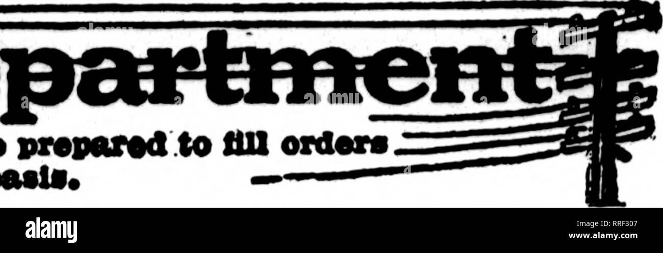 . Les fleuristes [microforme] examen. La floriculture. E* florist* whoa* oavA* semblent pas earrytnc tlM oa cette headi sont prêts à tromoflior •* commandes jusqu'. toealdeliTeryoa uenalbcMle fleuristes pour le.. San Francisco et environs KETAIJRorie-McMac Laren Company 141 Powell Street les fleuristes, nous cultivons notre propre stock et avec une vaste série d'appeler nur- de peut donner des valeurs inhabituelles. Un rrancisco S GROS F Oakland, Berkeley et environs CHAS. C. NAVLET CO. trois magasins :- 423 et 427 Market Street SAN FRANCISCO. CAUF. 917 Washington Street Oakland. CAUF. 20 et 22 de la rue San Fernando est.... SAN JOSÉ. Banque D'Images