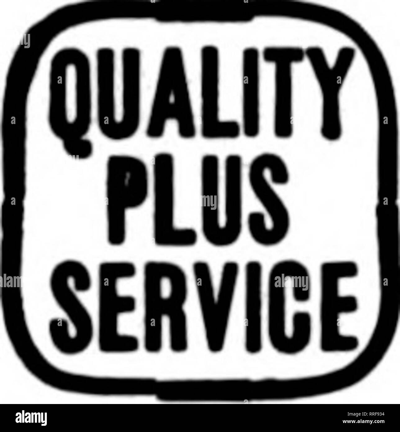 . Les fleuristes [microforme] examen. La floriculture. Pour l'Ouest je Wisconsin N. W. Illinois FWR^^mn ERX Dubuque, Iowa. DAVENPORT, IOWA ET WESTERN ILLINOIS G. F. FORBER. 313, rue Brady États les fleuristes Livraison de télégraphe Association. Veuillez noter que ces images sont extraites de la page numérisée des images qui peuvent avoir été retouchées numériquement pour plus de lisibilité - coloration et l'aspect de ces illustrations ne peut pas parfaitement ressembler à l'œuvre originale.. Chicago : les fleuristes Pub. Co Banque D'Images