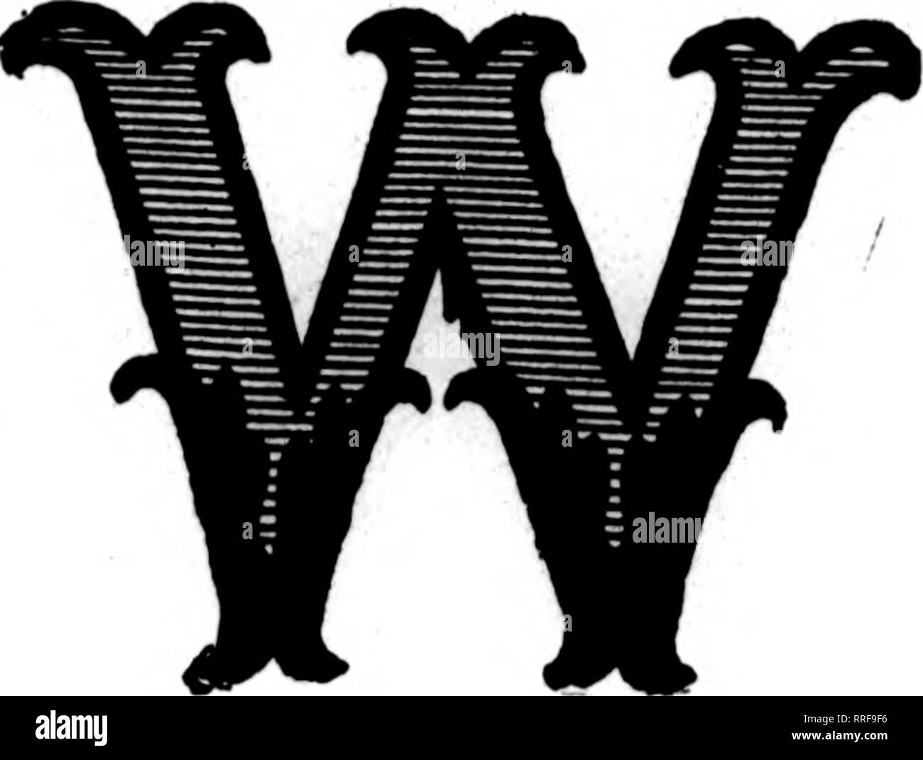 . Les fleuristes [microforme] examen. La floriculture. 38 L'examen pour fleuristes 7 avril 1921 AHENTION : regardez le prix bas. Sur SCRIPT MOTS et no 1 LETTRES D'Or ils sont les meilleurs importés QtJALlTY OR brillant et extra fine gommé à l'arrière. S'ils ne sont pas les meilleurs que vous avez jamais eu, les renvoyer à nos frais. Nous voulons que votre entreprise en lettres d'or et de script. N° 1 Lettres d'or, par 1 000 - - - 3,00 $ Mots Script, or ou violet, pour 100 mots 2,00 $ n° 1 dans le texte suivant : Père fille Mamma tante ami mère 'Papa Fils Oncle Baby Sister Grandpa Mari' Darling notre Frère Grand-mère épouse Banque D'Images